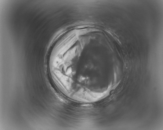 X0000064740053200603031718