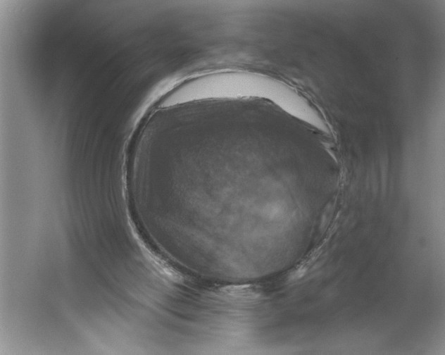 X0000064740054200603031718