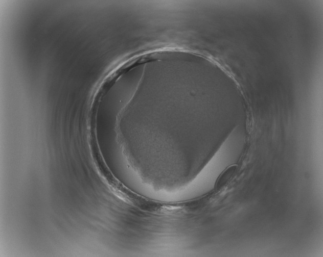 X0000064740055200603031718