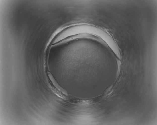 X0000064740056200603031718