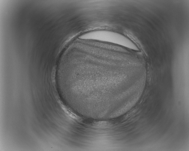 X0000064740058200603031718