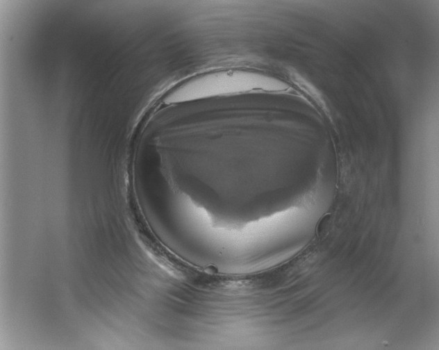 X0000064740059200603031718