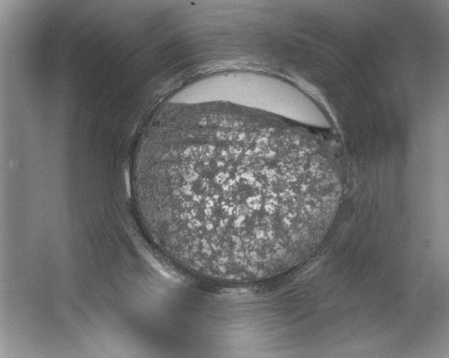 X0000064740061200603031718