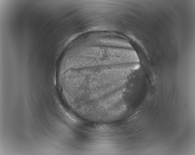 X0000064740062200603031718