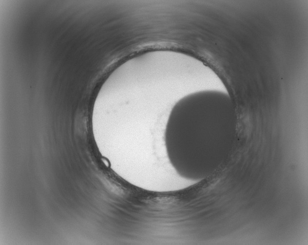 X0000064740063200603031718