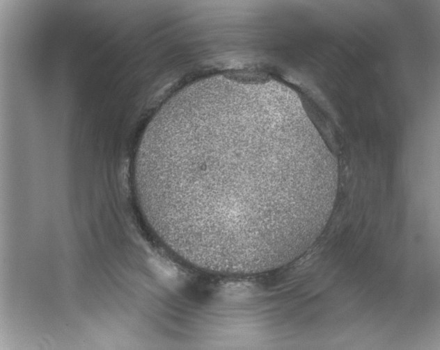 X0000064740066200603031718