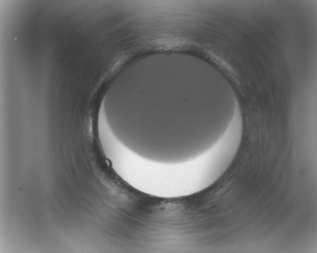 X0000064740067200603031718