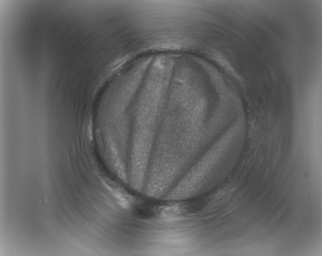 X0000064740068200603031718