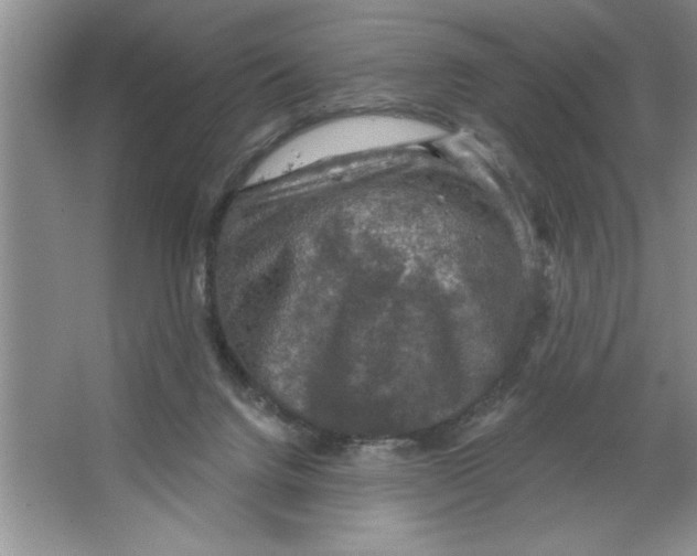 X0000064740072200603031718