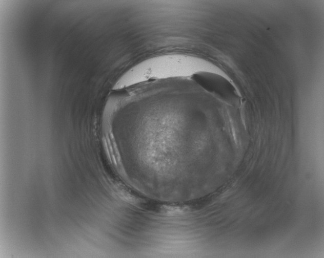 X0000064740073200603031718