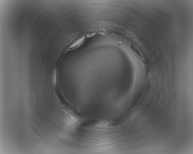 X0000064740076200603031718