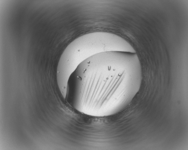 X0000064740077200603031718