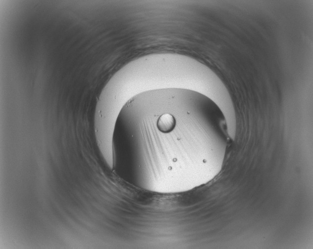 X0000064740078200603031718