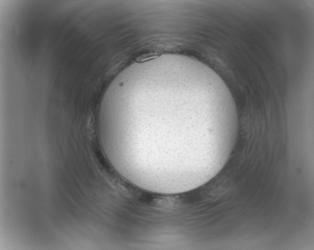 X0000064740079200603031718