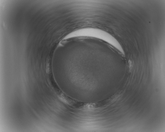 X0000064740080200603031718