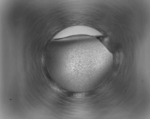 X0000064740084200603031718