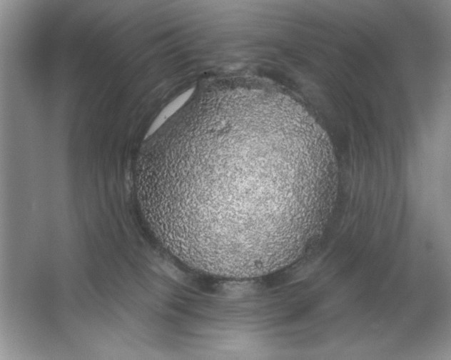 X0000064740085200603031718