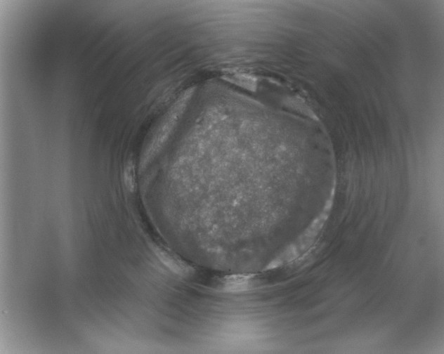 X0000064740090200603031719