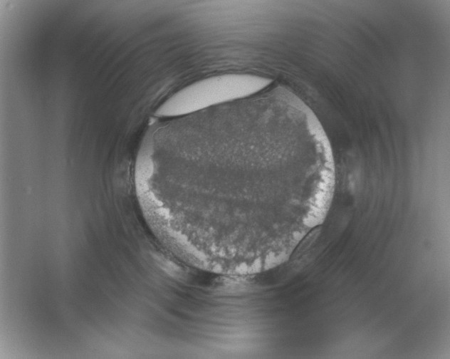 X0000064740093200603031719