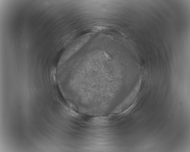 X0000064740094200603031719