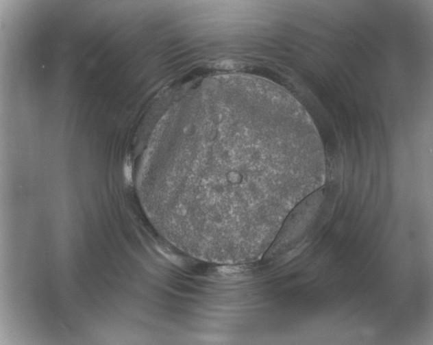 X0000064740095200603031719