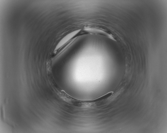 X0000064740096200603031719