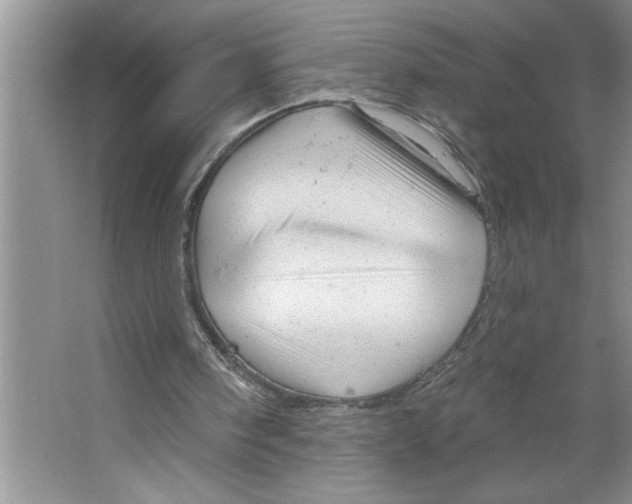 X0000064740098200603031718