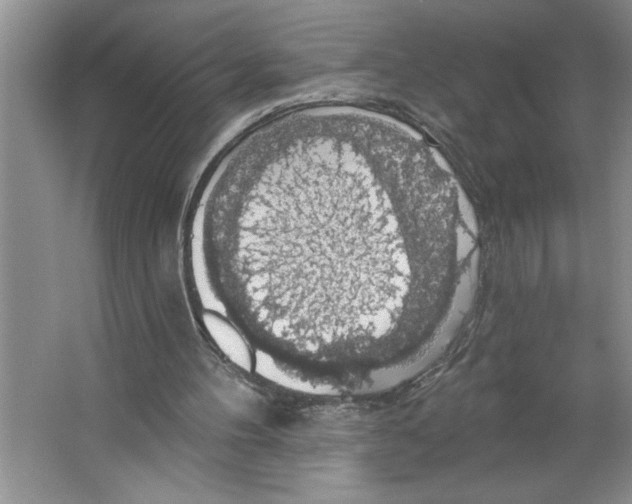 X0000064740100200603031718