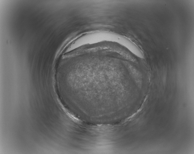 X0000064740101200603031718