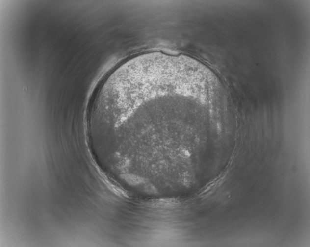 X0000064740102200603031718