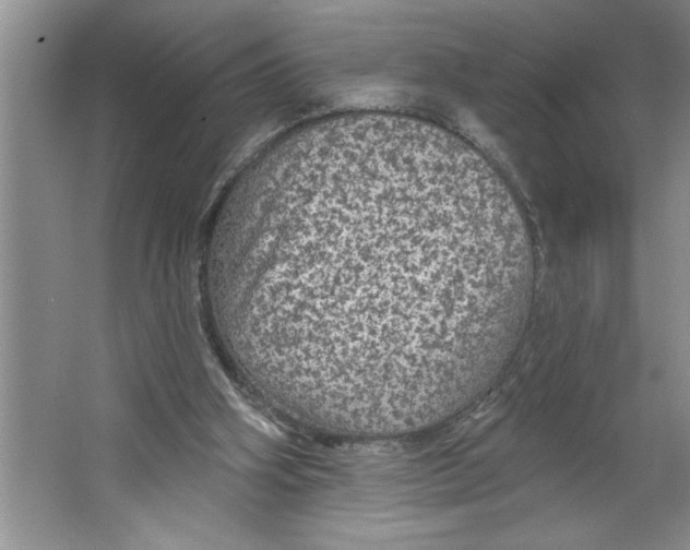 X0000064740106200603031718