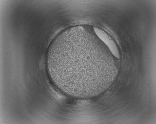 X0000064740107200603031718