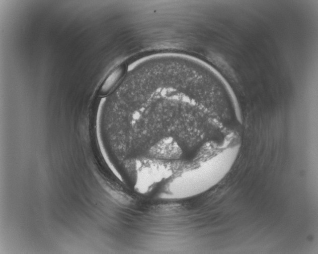 X0000064740108200603031718