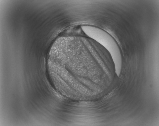 X0000064740109200603031718