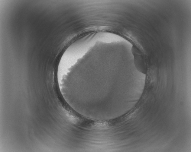 X0000064740110200603031718