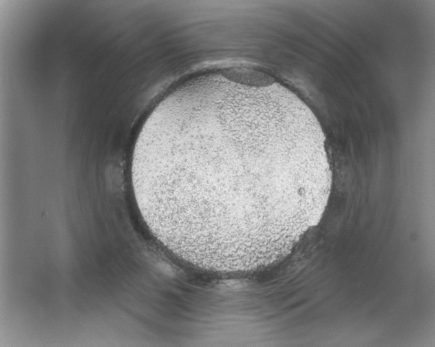 X0000064740111200603031718