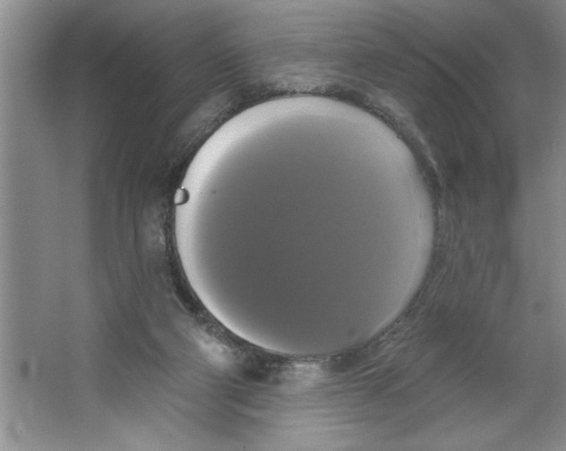 X0000064740114200603031718