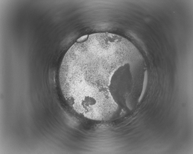 X0000064740115200603031718