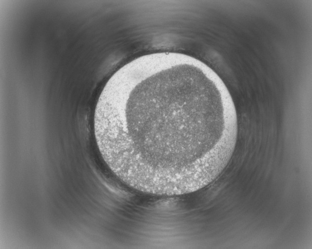 X0000064740116200603031718