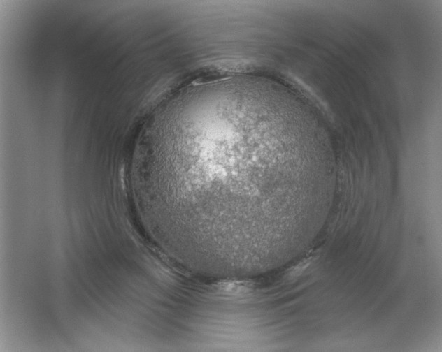 X0000064740117200603031717