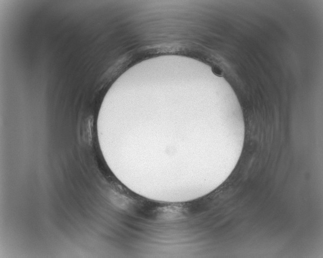 X0000064740118200603031717