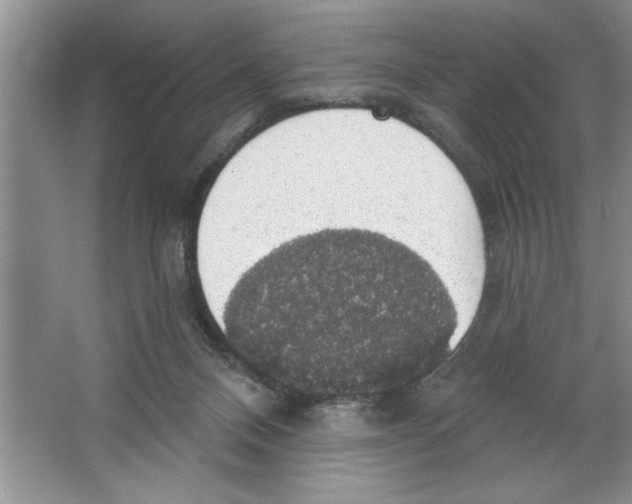 X0000064740120200603031717