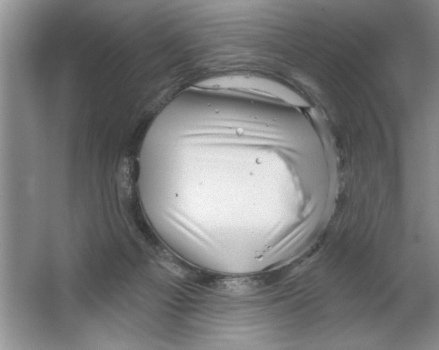 X0000064740121200603031717