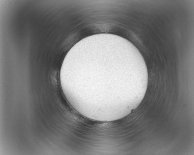 X0000064740122200603031717