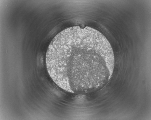 X0000064740124200603031717