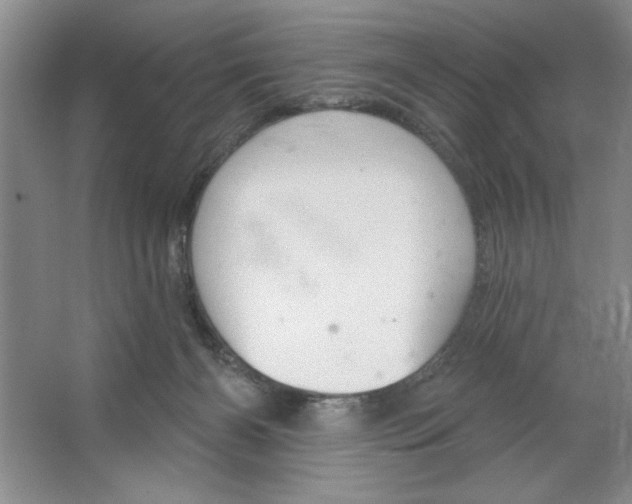 X0000064740126200603031717