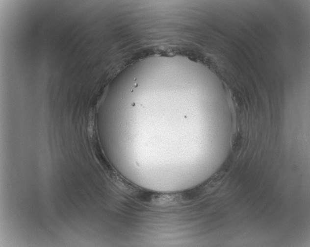 X0000064740129200603031717