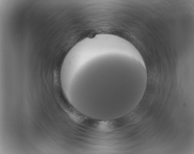 X0000064740130200603031717