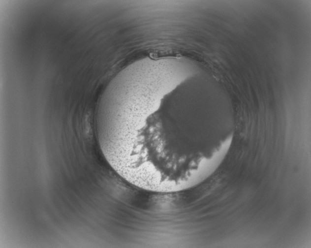 X0000064740131200603031717