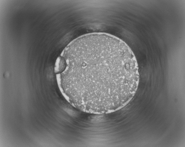 X0000064740132200603031717